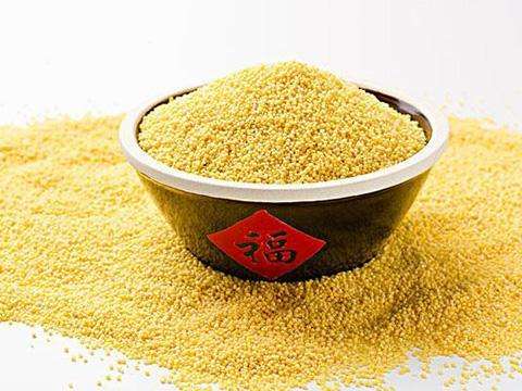 小米營養大解析