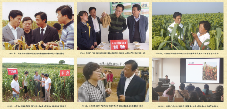 國家、省、市專家指導標準化示范區建設